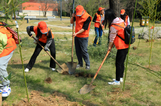 131678703341549912.png 1(1).png